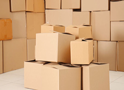 carton box